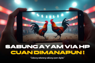Mengenal Dunia Sabung Ayam: Provider, Jenis Ayam, dan Strategi Unggul