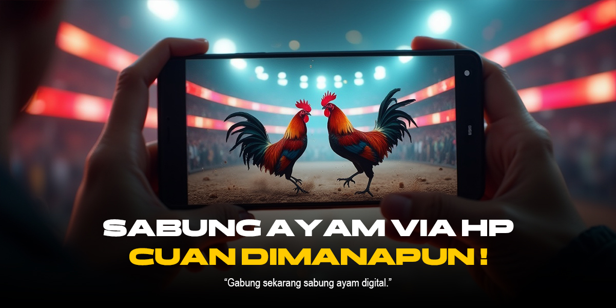 Mengenal Dunia Sabung Ayam: Provider, Jenis Ayam, dan Strategi Unggul