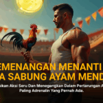Mengenal Jenis Ayam Bangkok dalam Sabung Ayam SV388