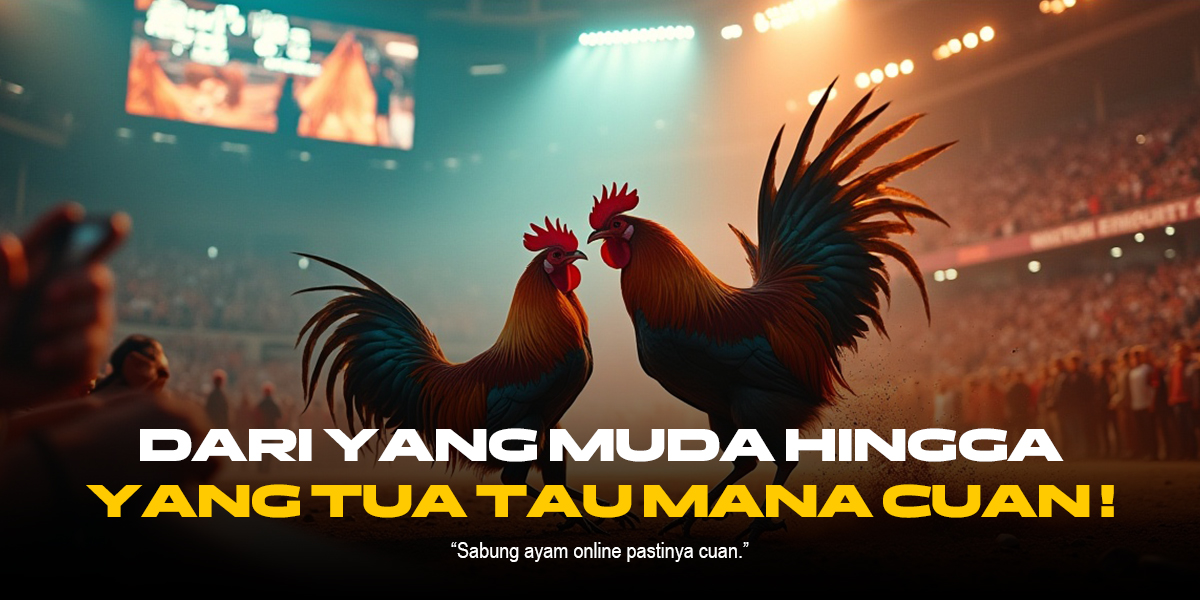 Mengenal SV388: Platform Sabung Ayam Terpercaya dan Canggih
