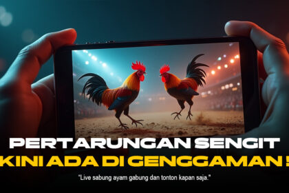 Mengenal Sabung Ayam SV388: Adu Ayam Online dengan Odds Menguntungkan