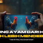 Petualangan Sabung Ayam dengan Provider SV388