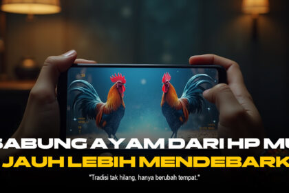 Petualangan Sabung Ayam dengan Provider SV388