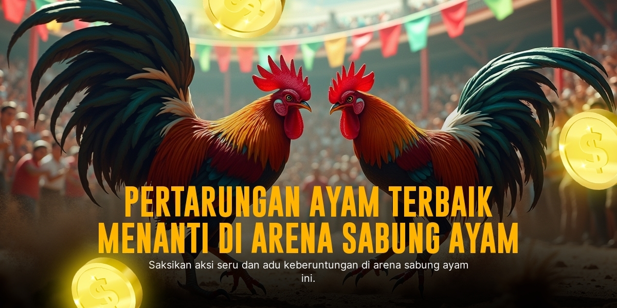 Mengenal Ayam Bangkok dalam Sabung Ayam SV388
