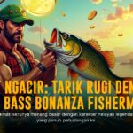 Rasakan Sensasi Menang Besar dengan Slot Joker Gaming yang Fenomenal