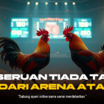Sabung Ayam Modern: Tradisi, Kontroversi, dan Perkembangan Teknologi dalam Dunia Tarung Ayam