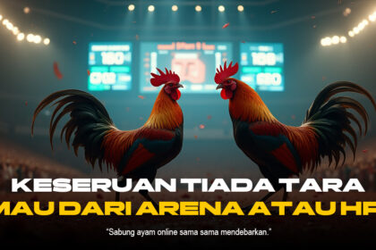 Sabung Ayam Modern: Tradisi, Kontroversi, dan Perkembangan Teknologi dalam Dunia Tarung Ayam