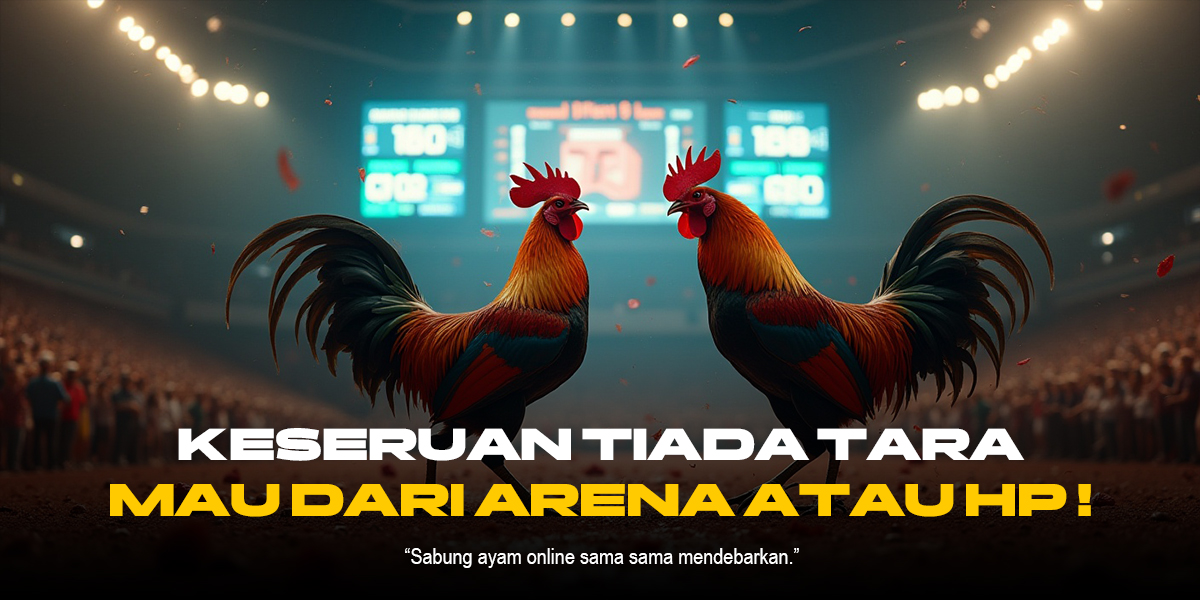 Sabung Ayam Modern: Tradisi, Kontroversi, dan Perkembangan Teknologi dalam Dunia Tarung Ayam