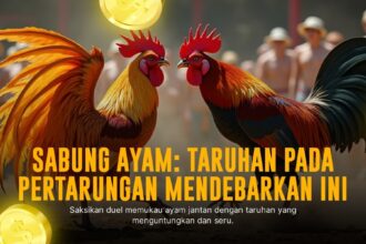 Mengenal Sabung Ayam SV388: Adu Strategi dan Keberuntungan